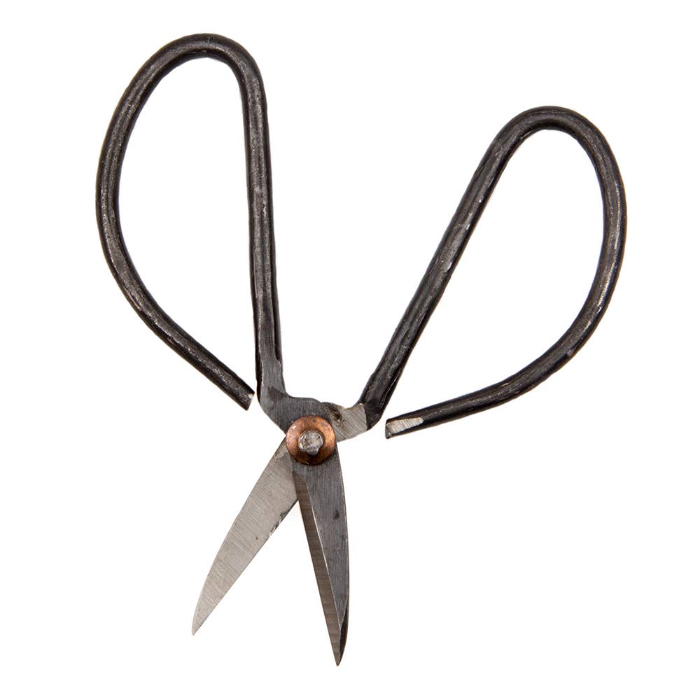 Edward Plant Scissors/ Gardening
Plant Accessories