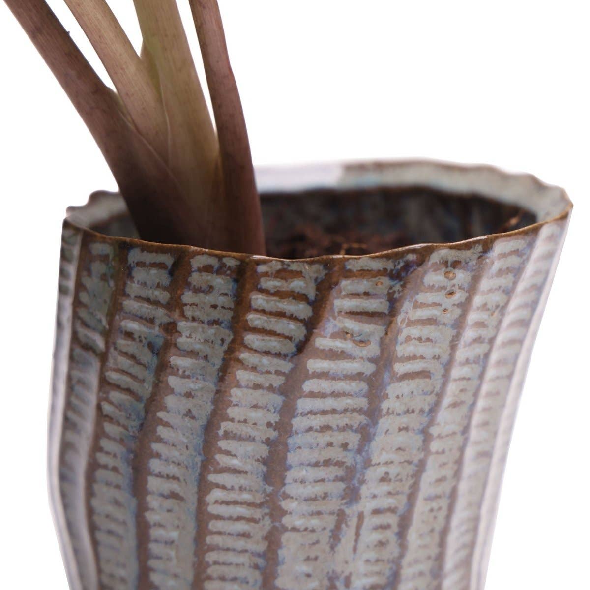 Katakana Japanese Planter Handmade Orchid Pot New For 2025