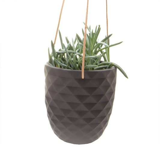 Thimble 5" Hanging Planter