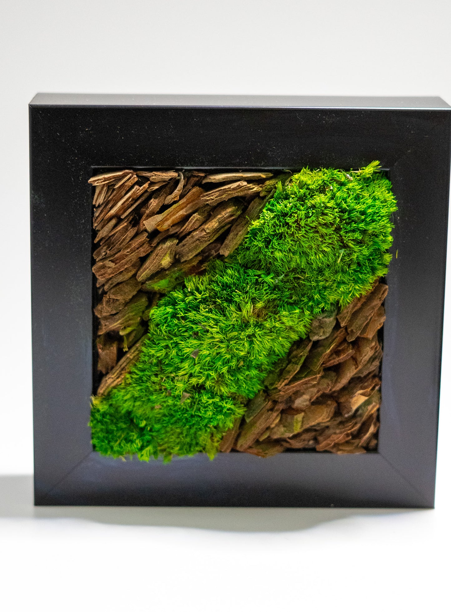 Preserved Moss Framed Art