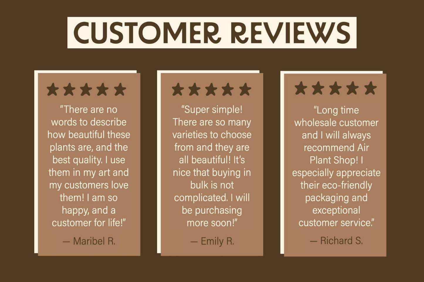 Mini Jolly Ornament with Tillandsia Ionantha Air Plant