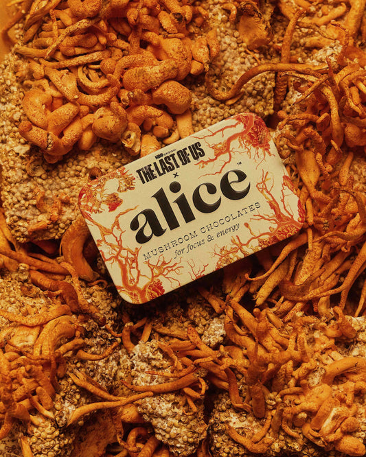 The Last of Us: Brainstorm — mushroom chocolates for focus