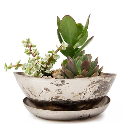 Topper Metal Indoor Plant Pot Saucer For Succulents SALE