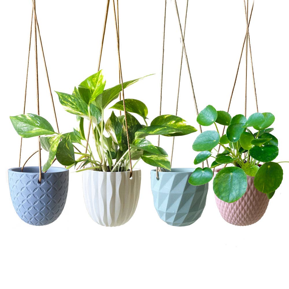 Virago Ceramic Modern Hanging Planter