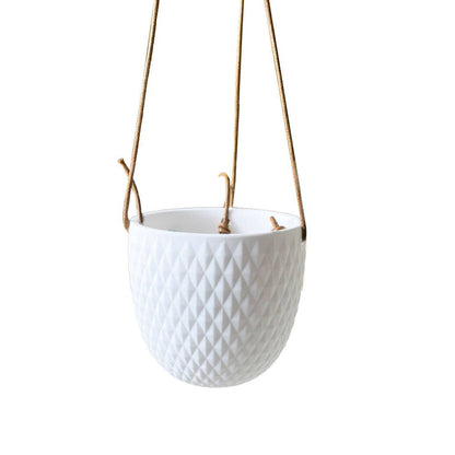 Virago Ceramic Modern Hanging Planter