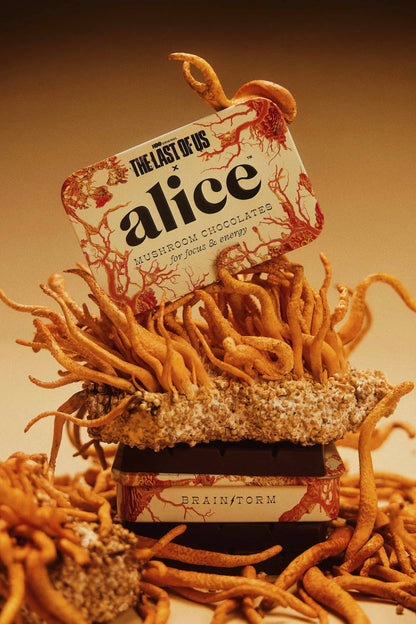 The Last of Us: Brainstorm — mushroom chocolates for focus