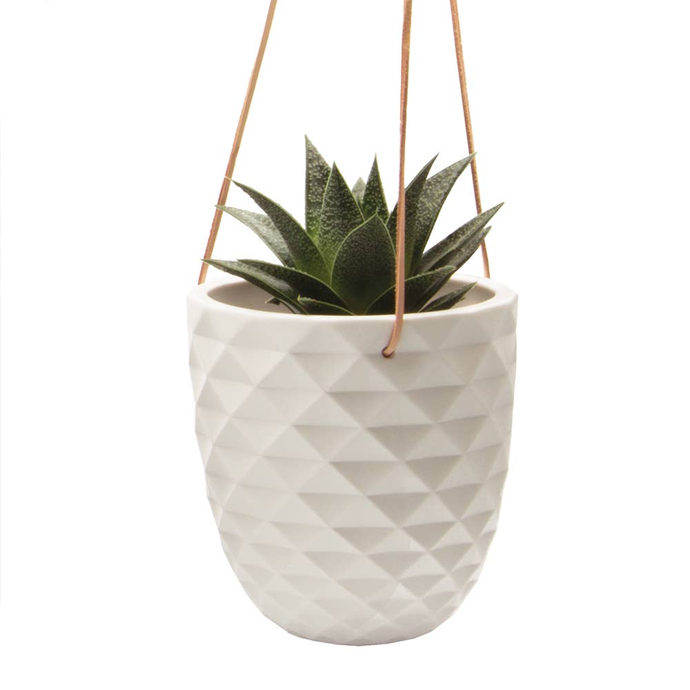 Thimble 5" Hanging Planter