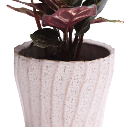 Katakana Japanese Planter Handmade Orchid Pot New For 2025