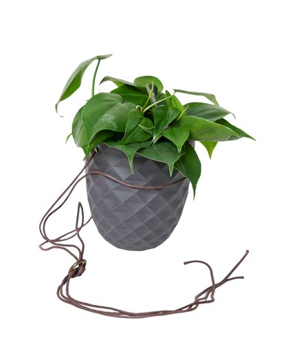 Thimble 5" Hanging Planter