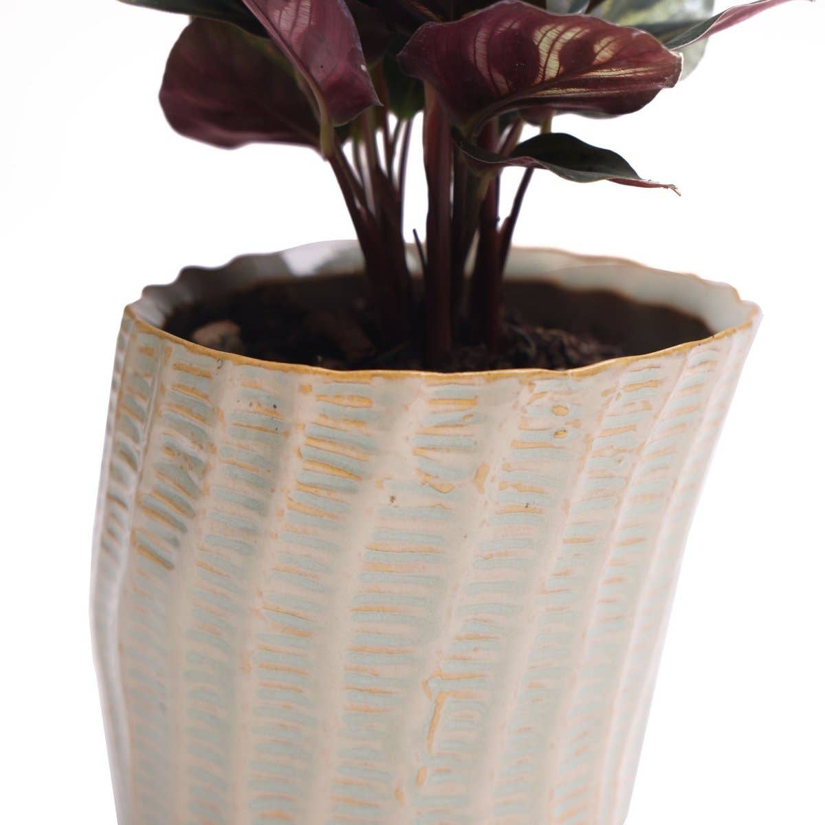 Katakana Japanese Planter Handmade Orchid Pot New For 2025