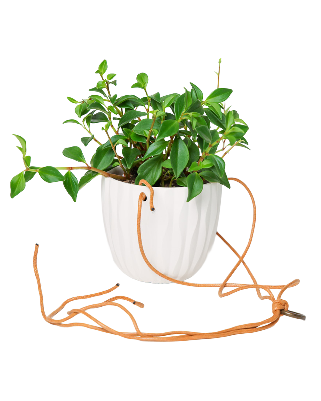 Virago Ceramic Modern Hanging Planter