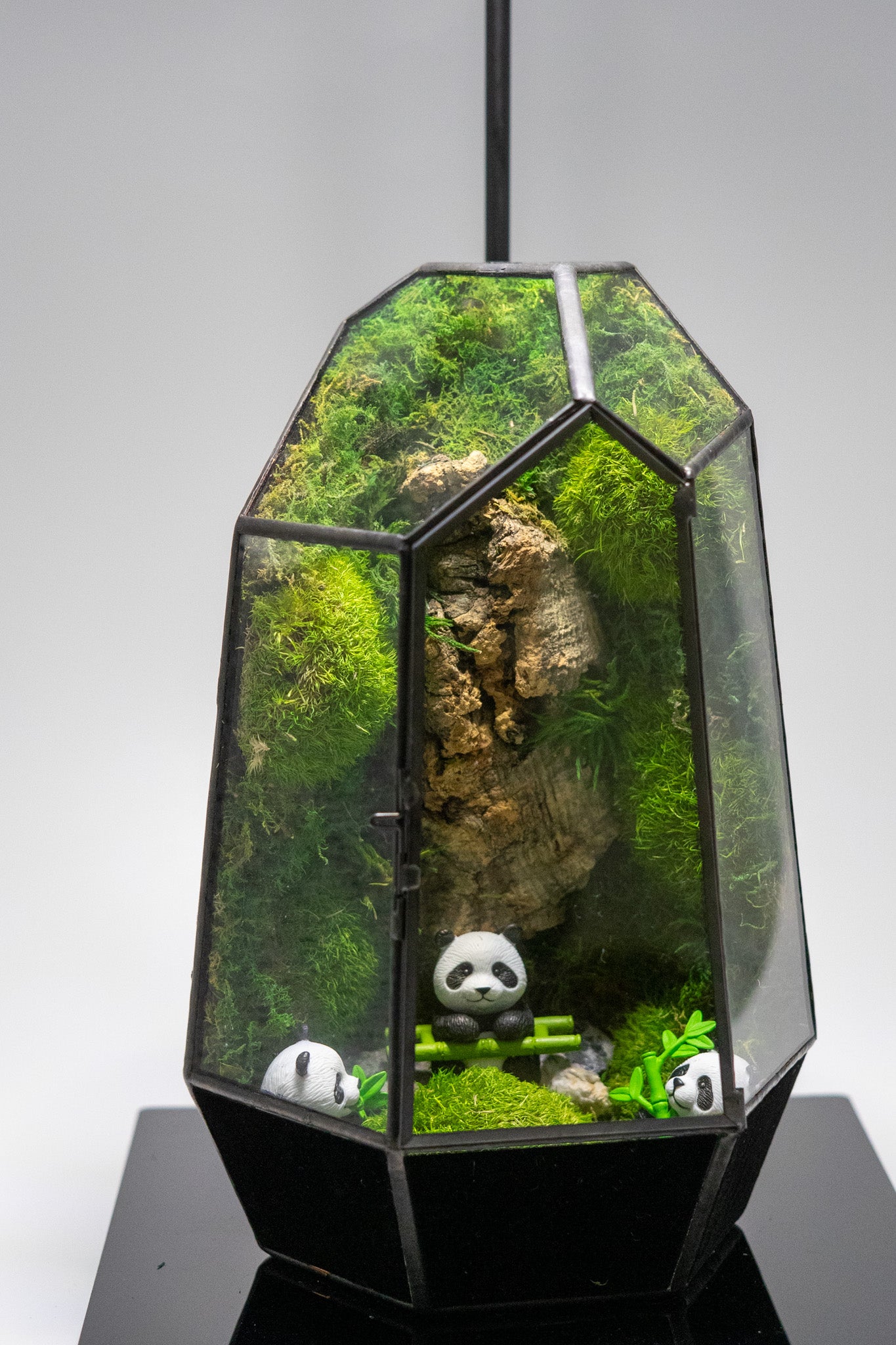 Panda Forest Preserved Moss Terrarium Home Decor Centerpiece
