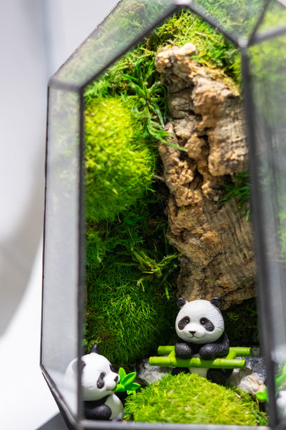 Panda Forest Preserved Moss Terrarium Home Decor Centerpiece