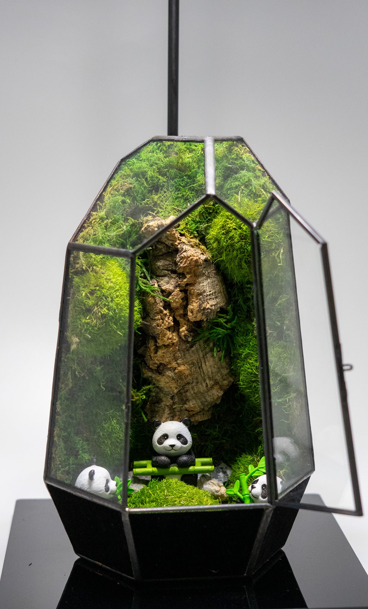 Panda Forest Preserved Moss Terrarium Home Decor Centerpiece
