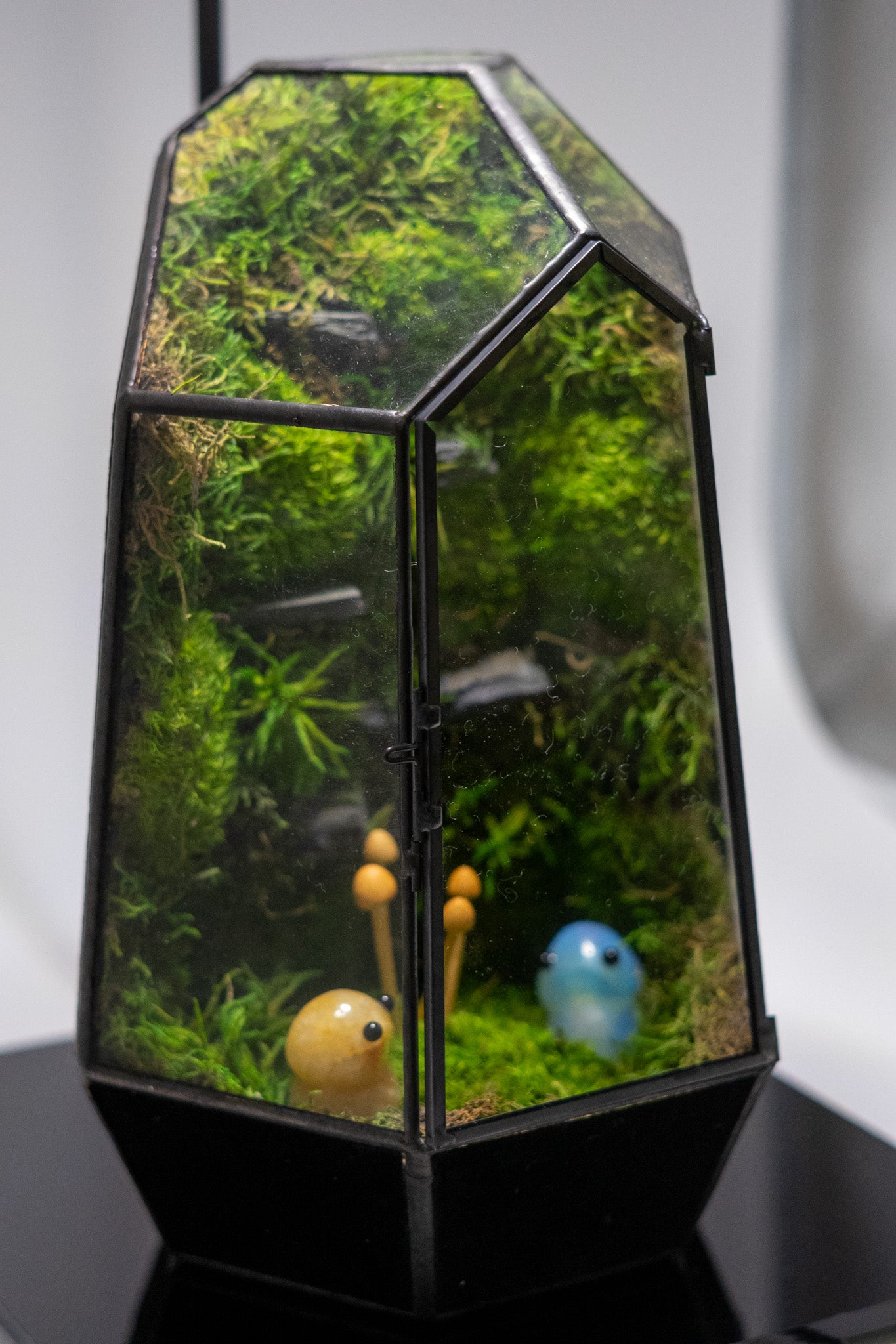 Mushroom Fairies Preserved Moss Terrarium Home Decor Centerpiece