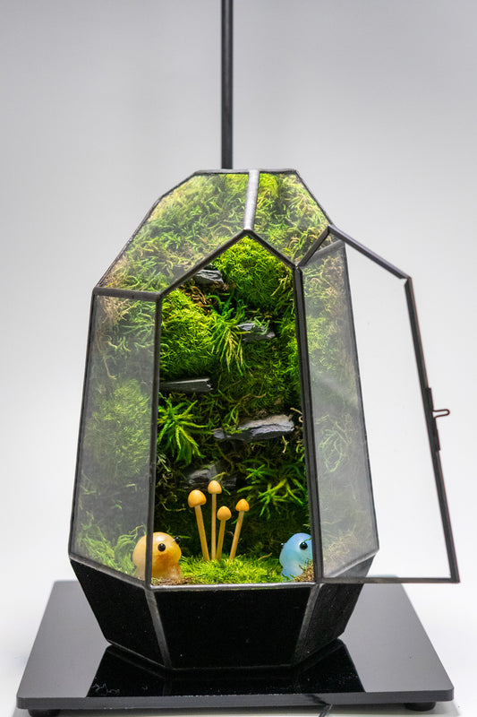 Mushroom Fairies Preserved Moss Terrarium Home Decor Centerpiece