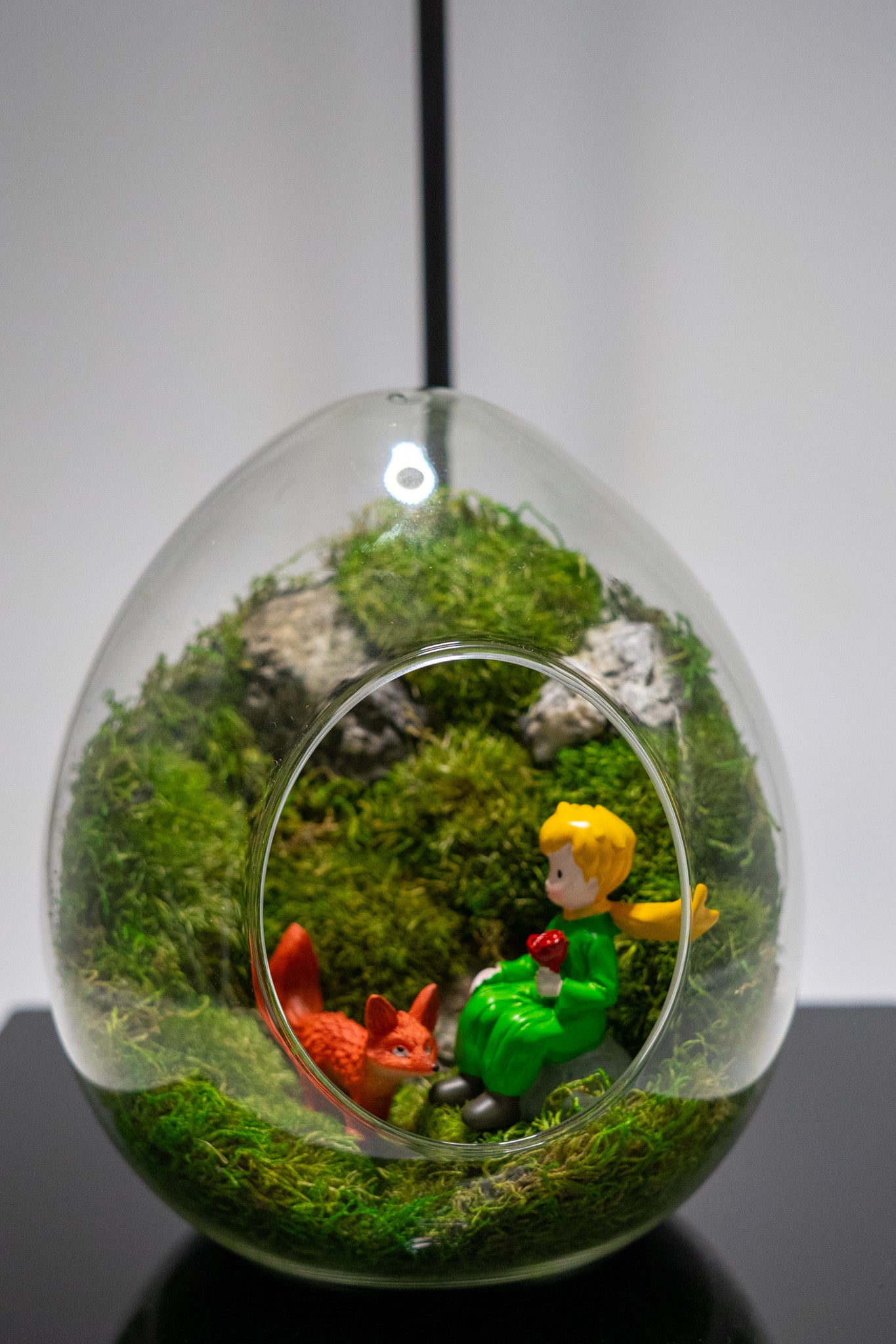 Little Prince Preserved Moss Terrarium Glass Cave Mossarium Desktop Centerpiece