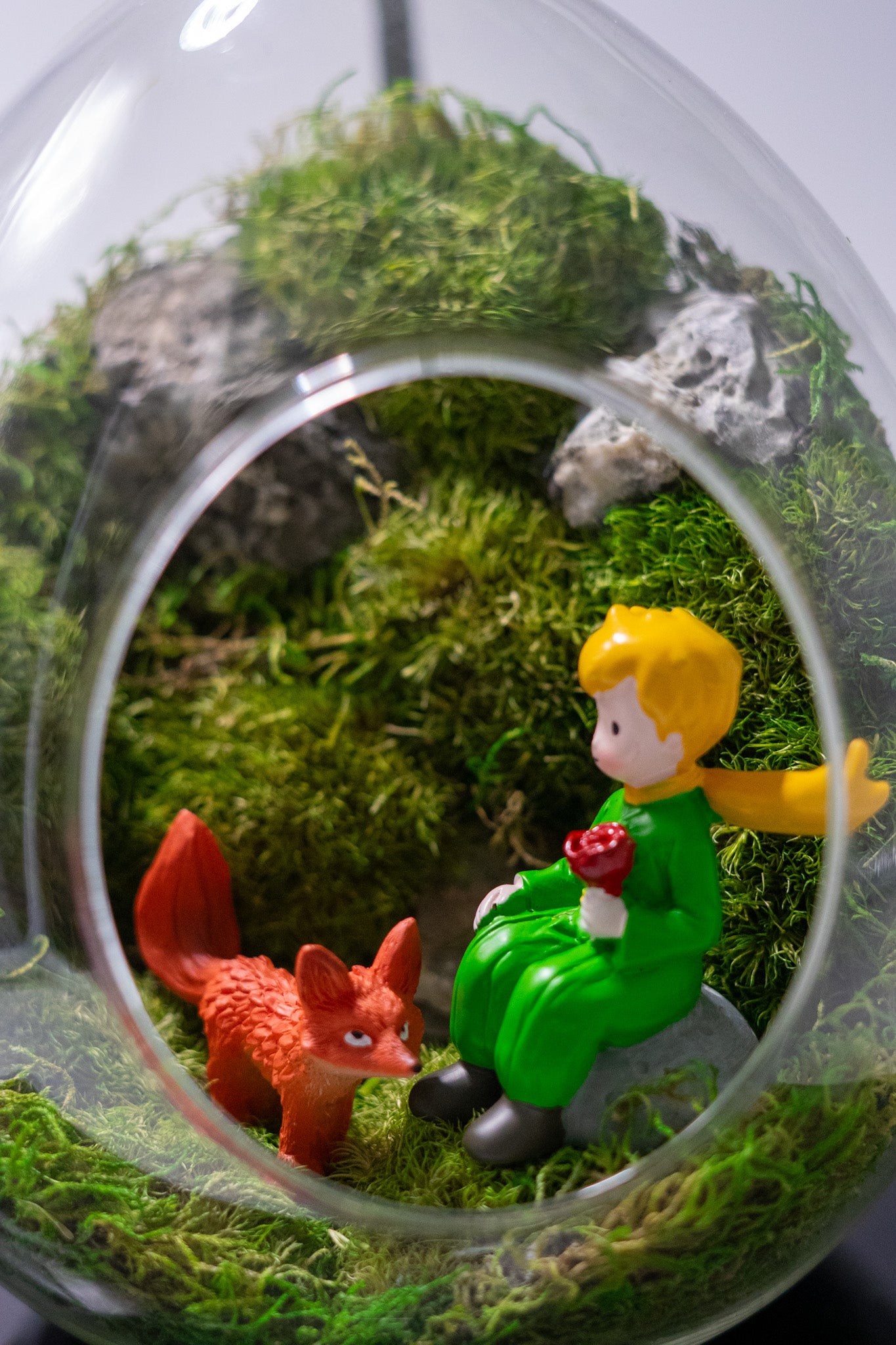 Little Prince Preserved Moss Terrarium Glass Cave Mossarium Desktop Centerpiece
