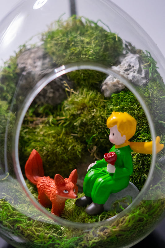 Little Prince Preserved Moss Terrarium Glass Cave Mossarium Desktop Centerpiece