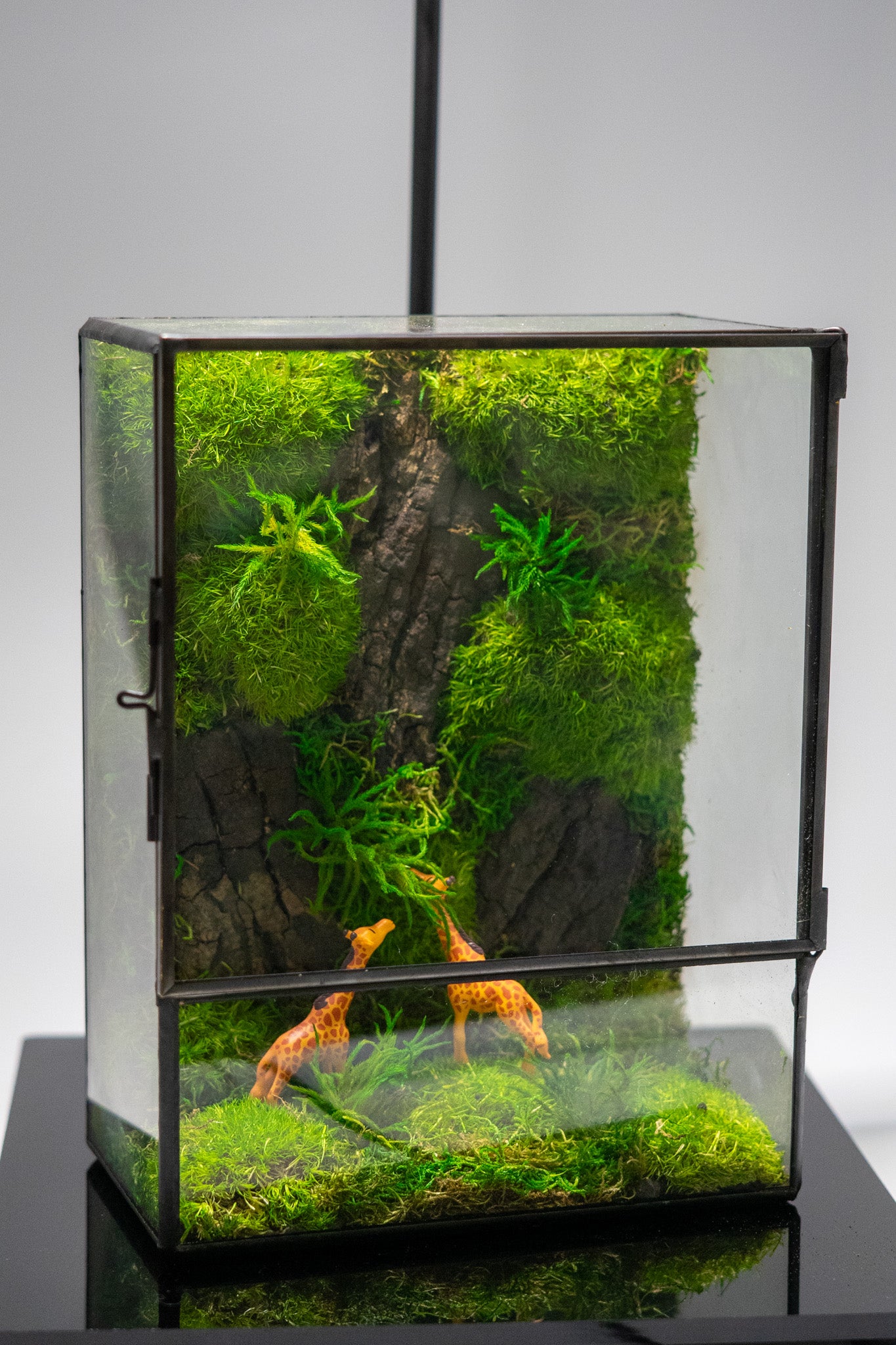 Giraffe Forest Preserved Moss Box Terrarium Desktop Centerpiece