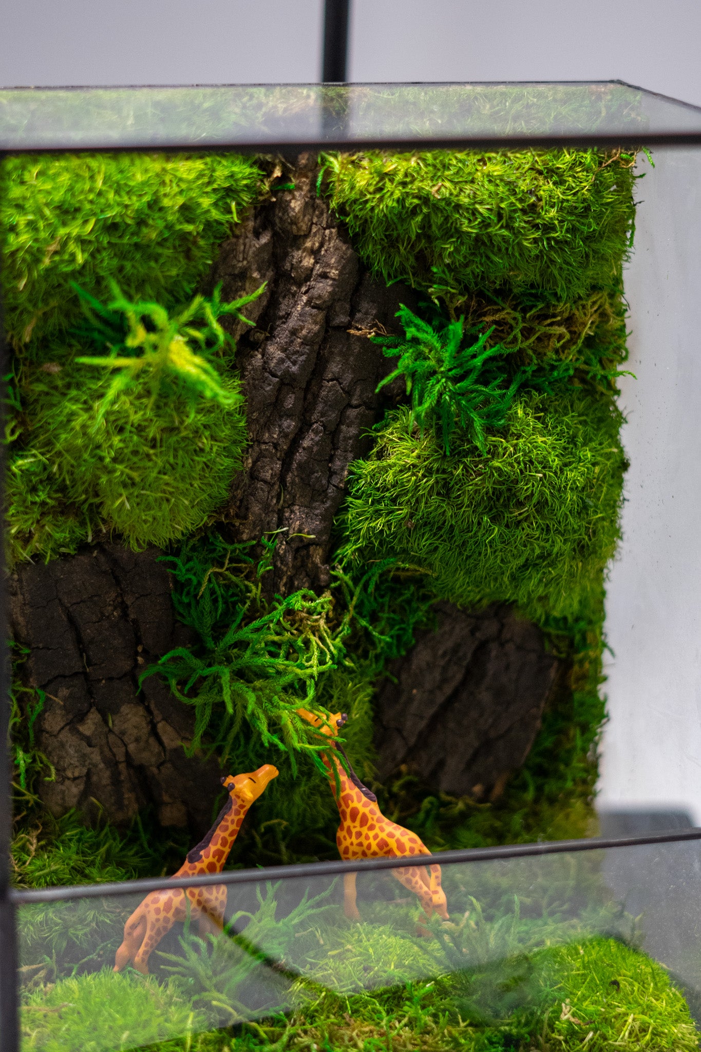 Giraffe Forest Preserved Moss Box Terrarium Desktop Centerpiece