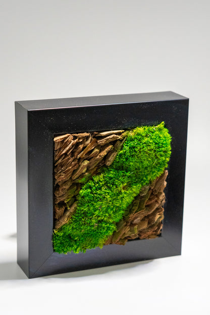 Preserved Moss Framed Art