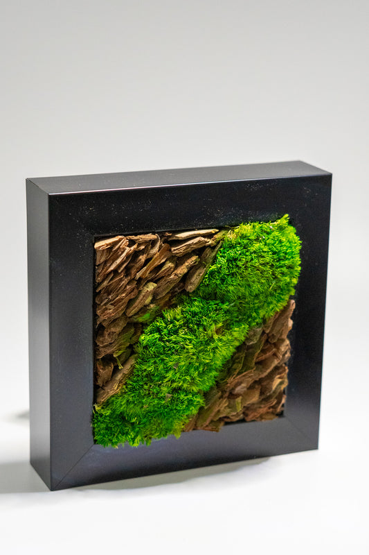 Preserved Moss Framed Art