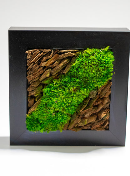 Preserved Moss Framed Art
