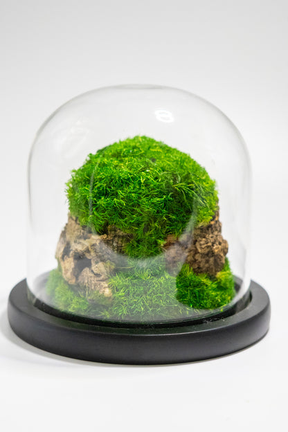 Glass Dome Preserved Moss Terrarium Home Decor