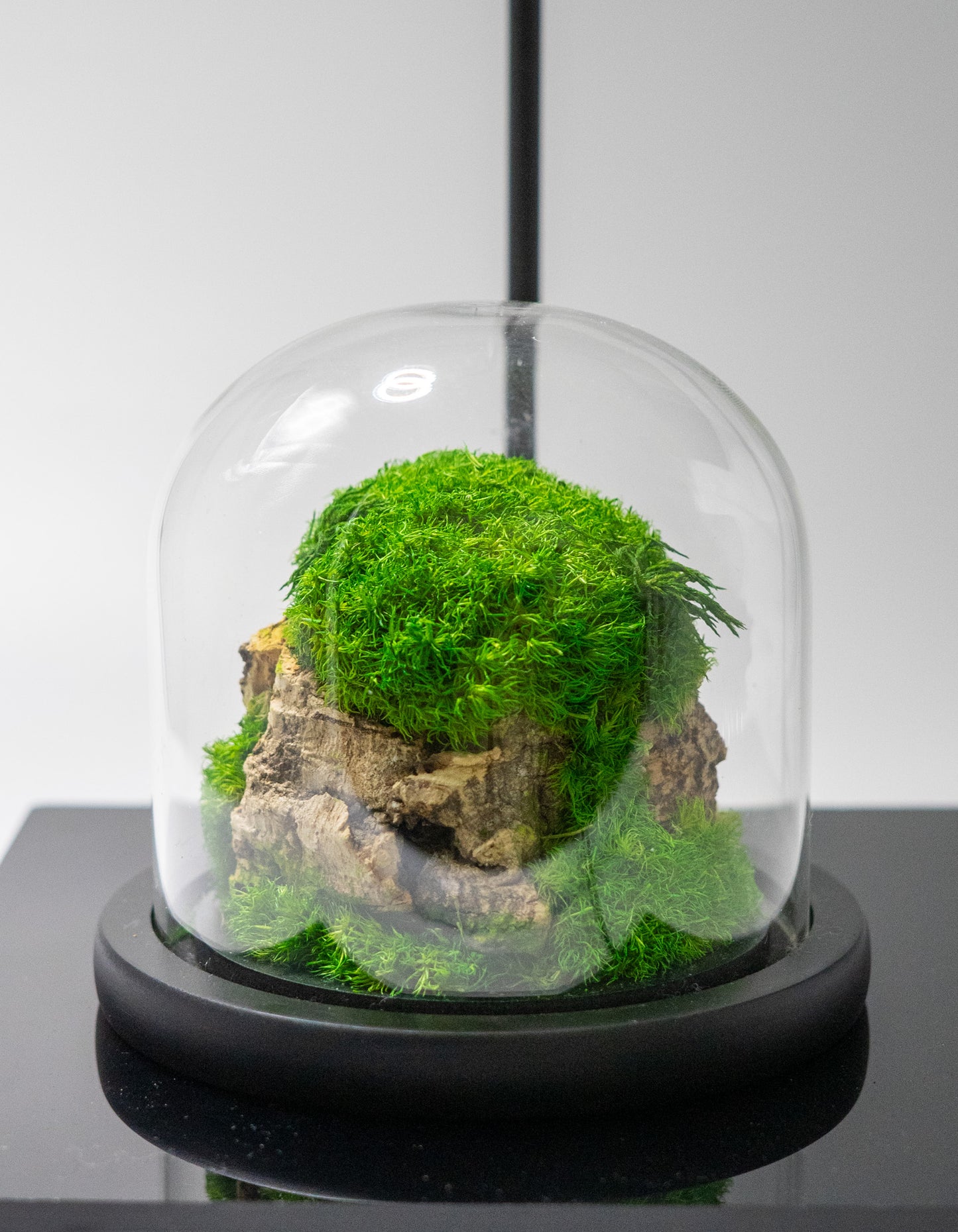 Glass Dome Preserved Moss Terrarium Home Decor