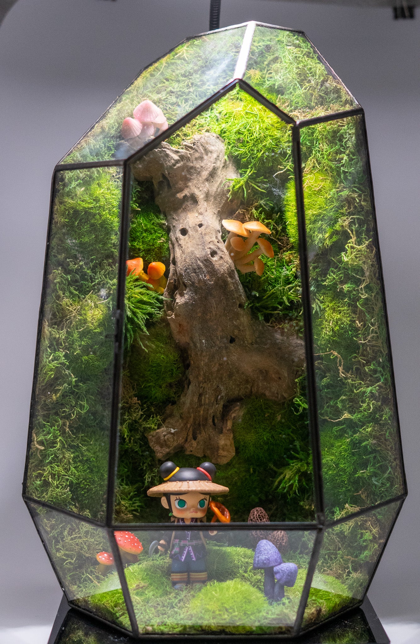 Molly the Reshi Picker Preserved Moss Terrarium Home Decor Centerpiece