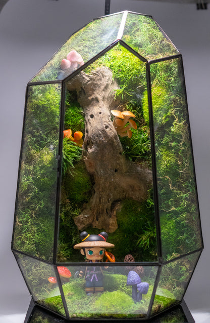 Molly the Reshi Picker Preserved Moss Terrarium Home Decor Centerpiece