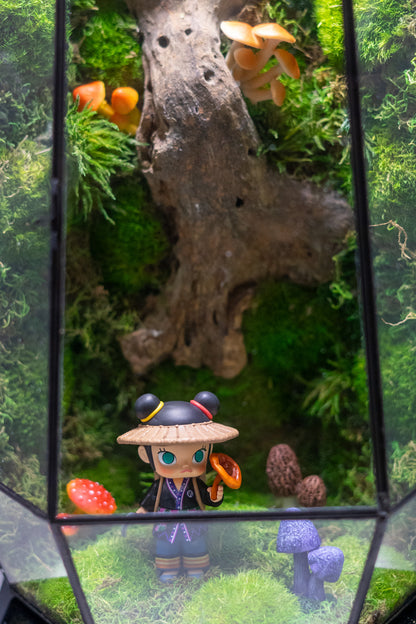 Molly the Reshi Picker Preserved Moss Terrarium Home Decor Centerpiece