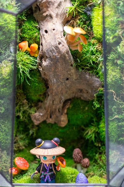 Molly the Reshi Picker Preserved Moss Terrarium Home Decor Centerpiece