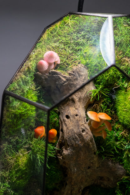 Molly the Reshi Picker Preserved Moss Terrarium Home Decor Centerpiece