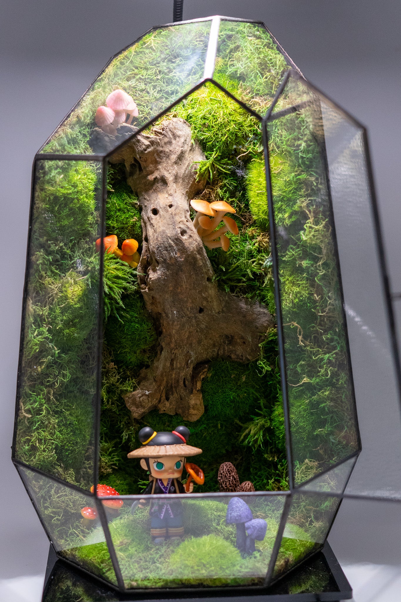 Molly the Reshi Picker Preserved Moss Terrarium Home Decor Centerpiece