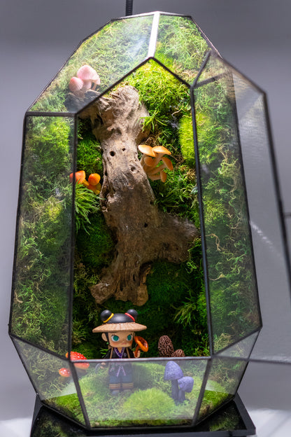 Molly the Reshi Picker Preserved Moss Terrarium Home Decor Centerpiece