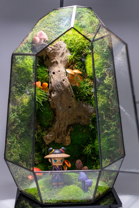 Molly the Reshi Picker Preserved Moss Terrarium Home Decor Centerpiece