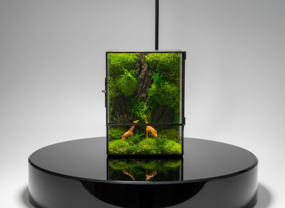 Giraffe Forest Preserved Moss Box Terrarium Desktop Centerpiece