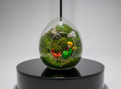 Little Prince Preserved Moss Terrarium Glass Cave Mossarium Desktop Centerpiece