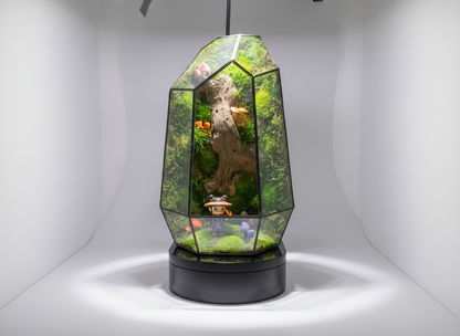 Molly the Reshi Picker Preserved Moss Terrarium Home Decor Centerpiece