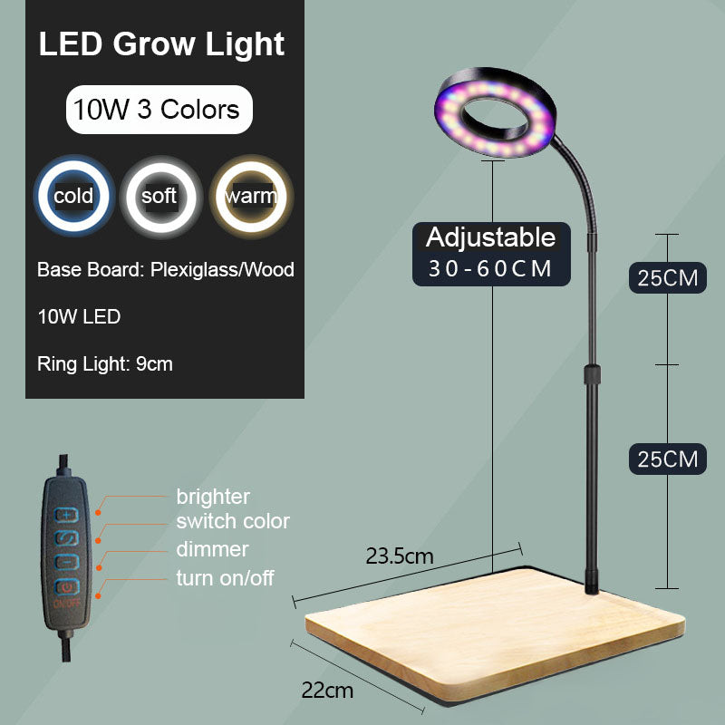 Labubu Ma.k. Robots in Forest Preserved Moss Terrarium