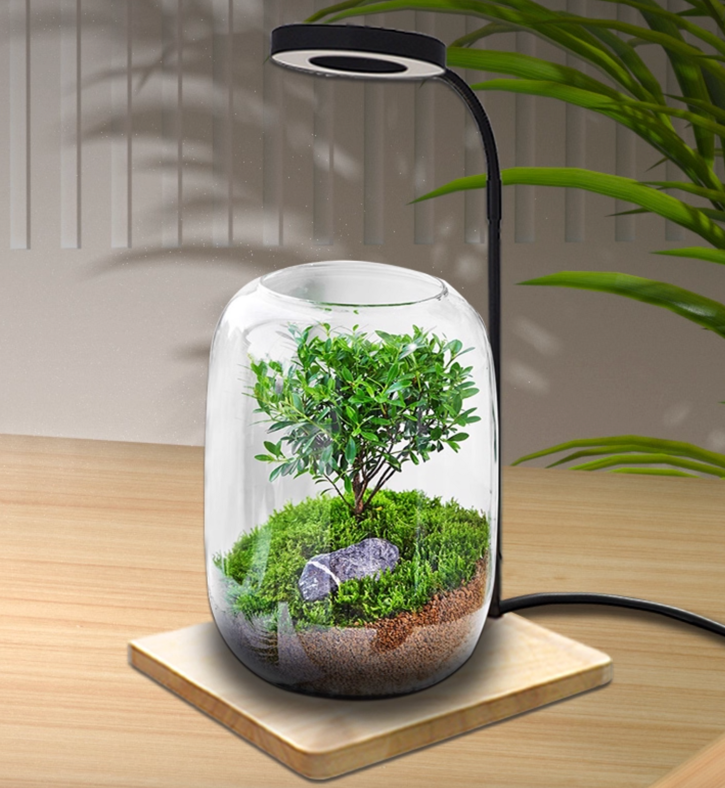 LED Indoor Plant Grow Light with Display Stand