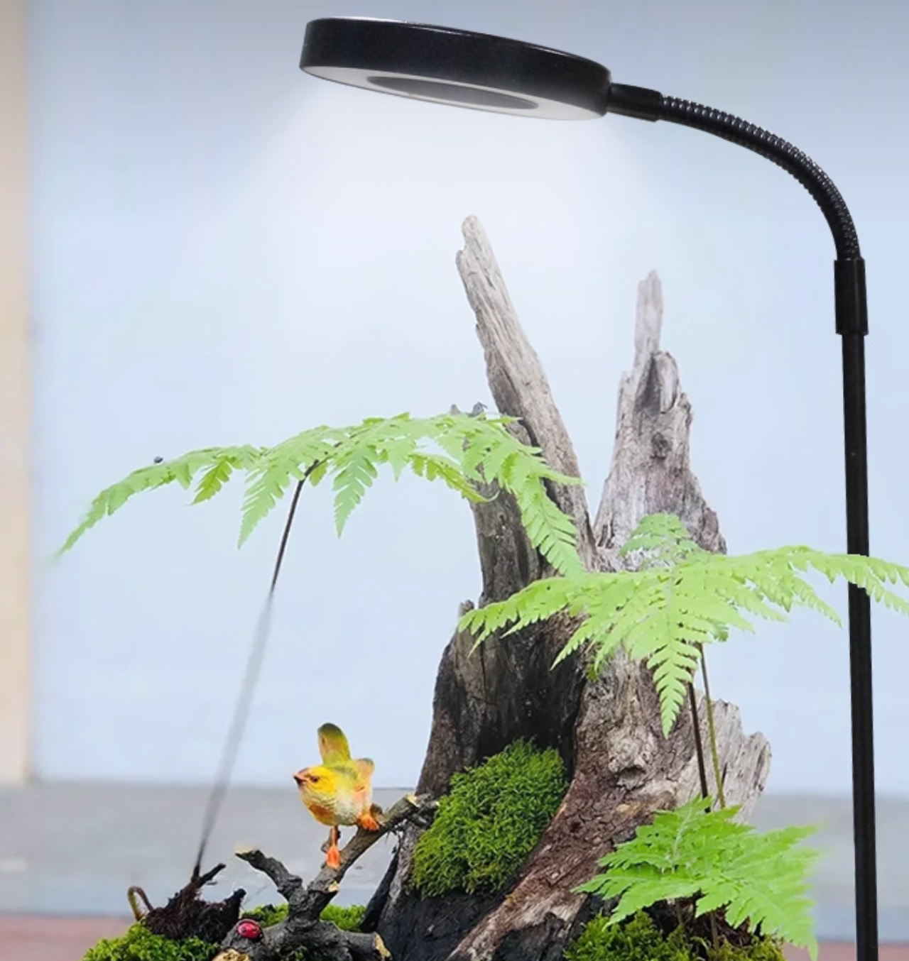 LED Indoor Plant Grow Light with Display Stand