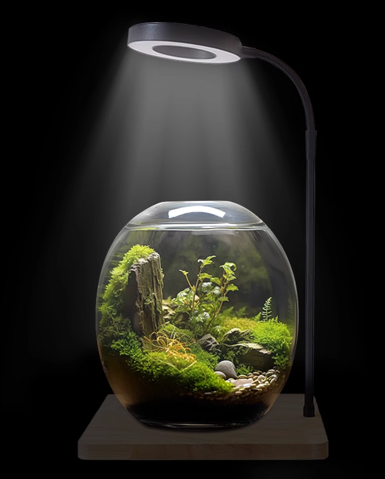 LED Indoor Plant Grow Light with Display Stand