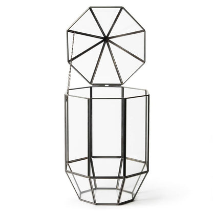 Glass Terrarium