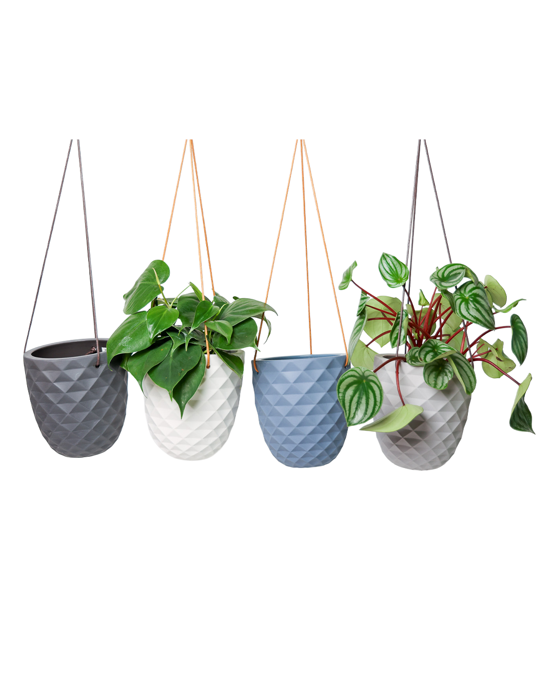 Thimble 5" Hanging Planter