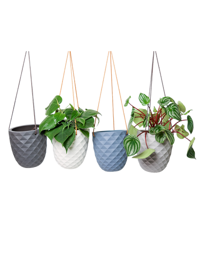 Thimble 5" Hanging Planter