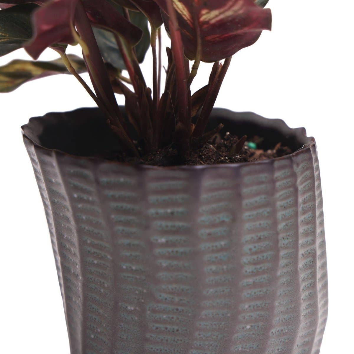 Katakana Japanese Planter Handmade Orchid Pot New For 2025