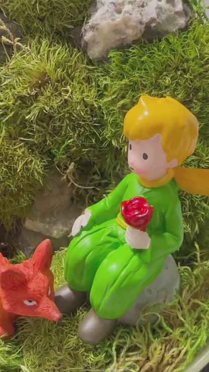 Little Prince Preserved Moss Terrarium Glass Cave Mossarium Desktop Centerpiece